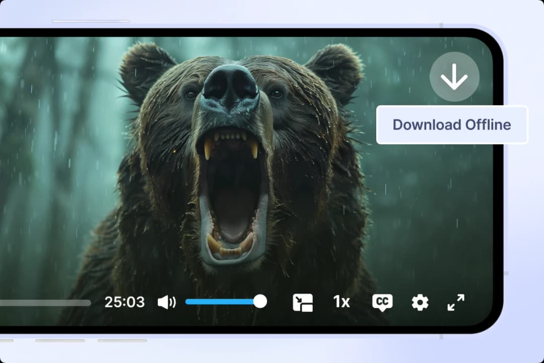 Offline Download & Playback